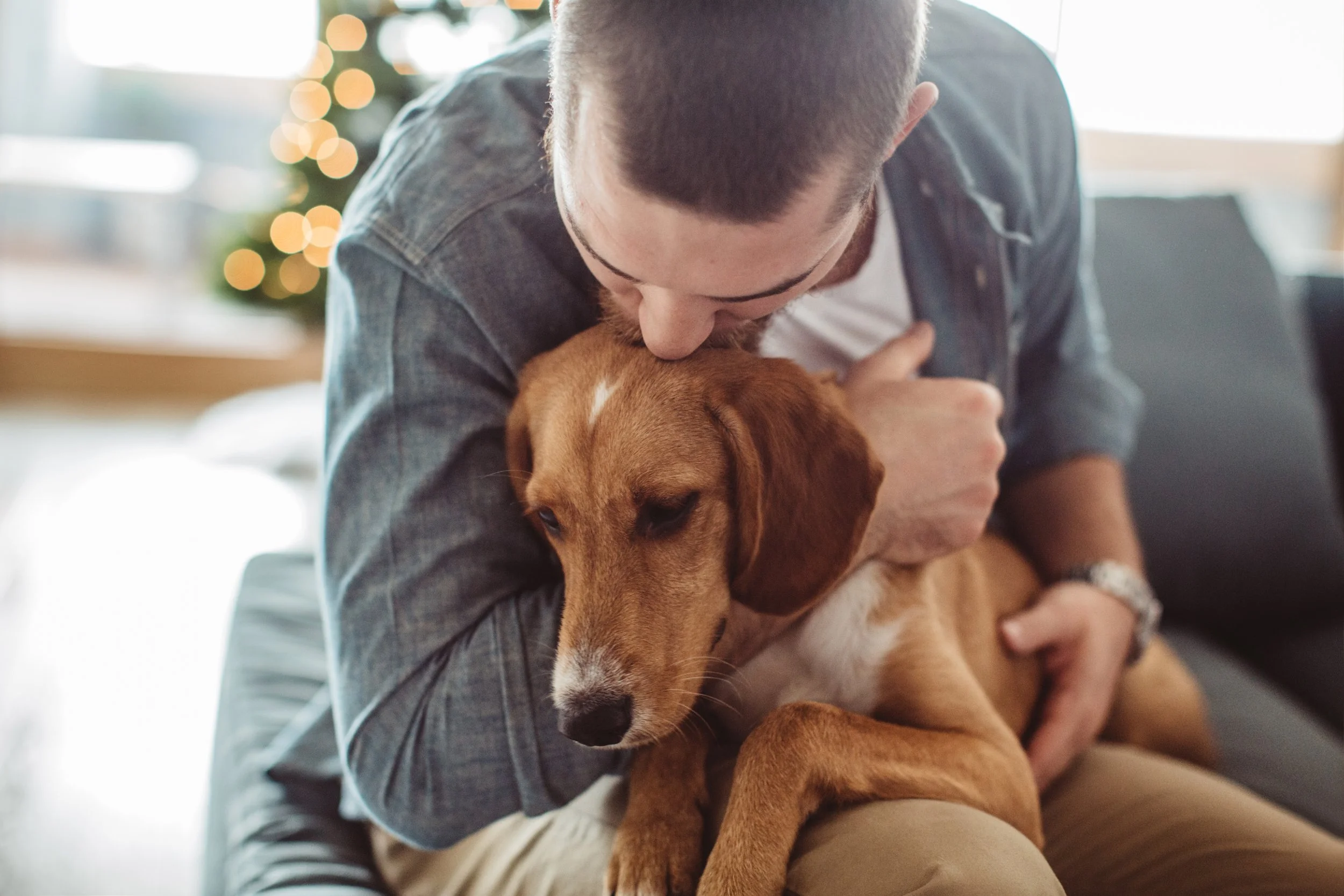 Homme enlaçant tendrement son chien