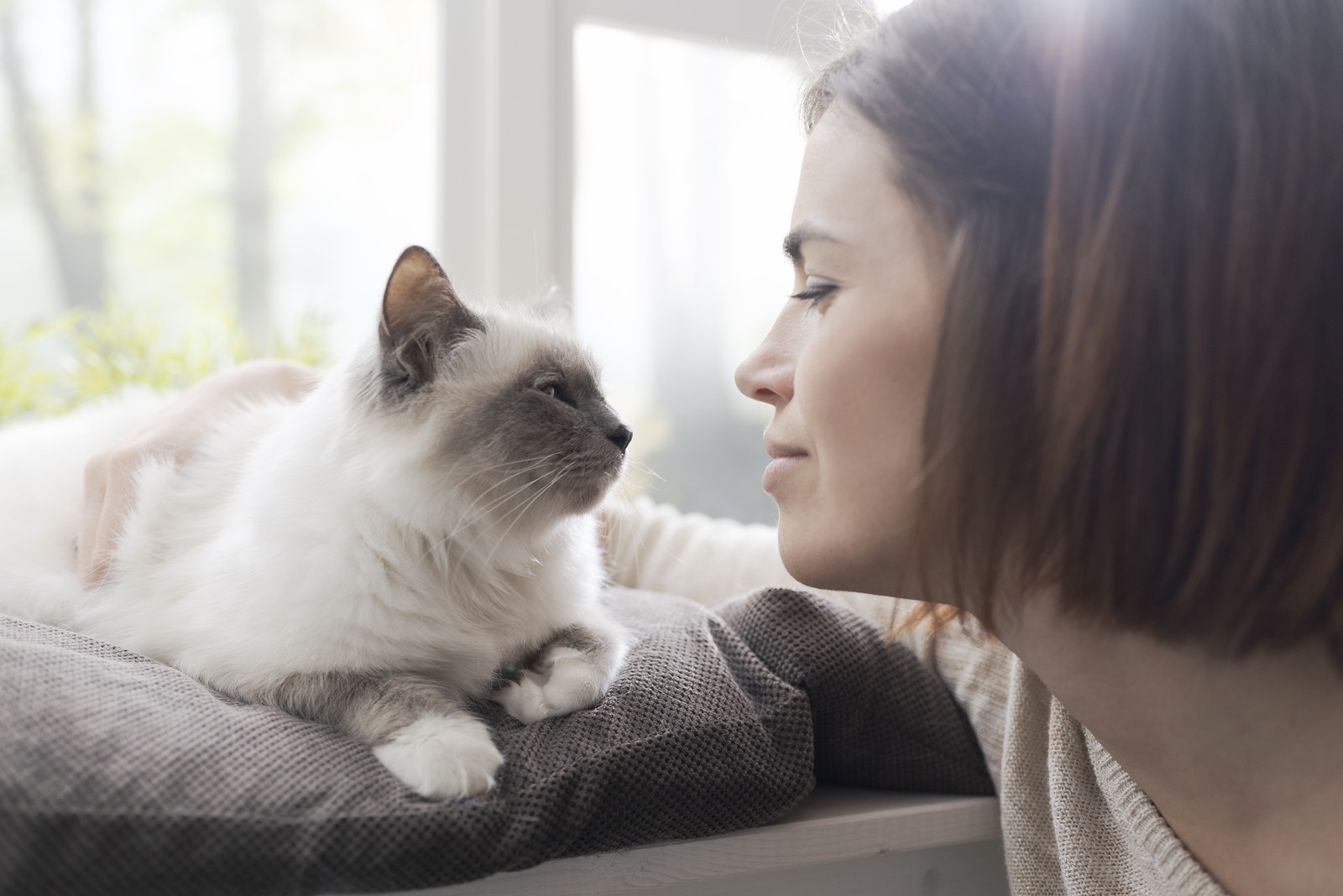 Femme et son chat se regardant avec complicité à la maison